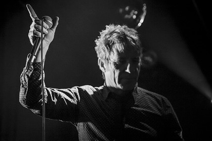 the wombats